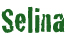 Haflinger Selina